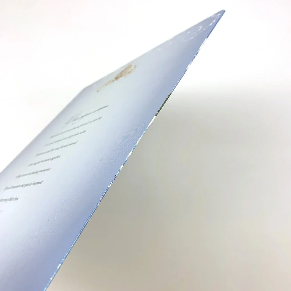 WDW Magic Kingdom Cinderellas Royal Table‎ Photo Folder Frame Night Castle Blue